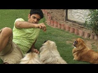 Paras' encounter with 11 adorable dogs