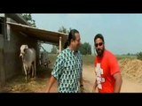 Promo: Rocky, Mayur meet the Ongole cattle