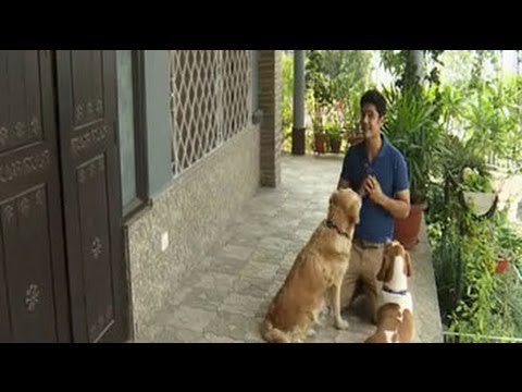 Paras meets mother-daughter duo with 6 cuddly fur babies