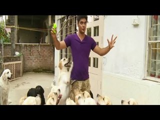 Paras plays around with 30 dogs in water