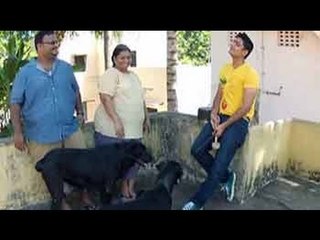 Paras meets the pets of two families in Chennai