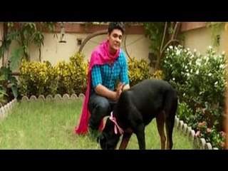 Paras plays around with a super dog - Nova