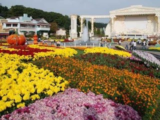 Let's go explore - Everland Resort