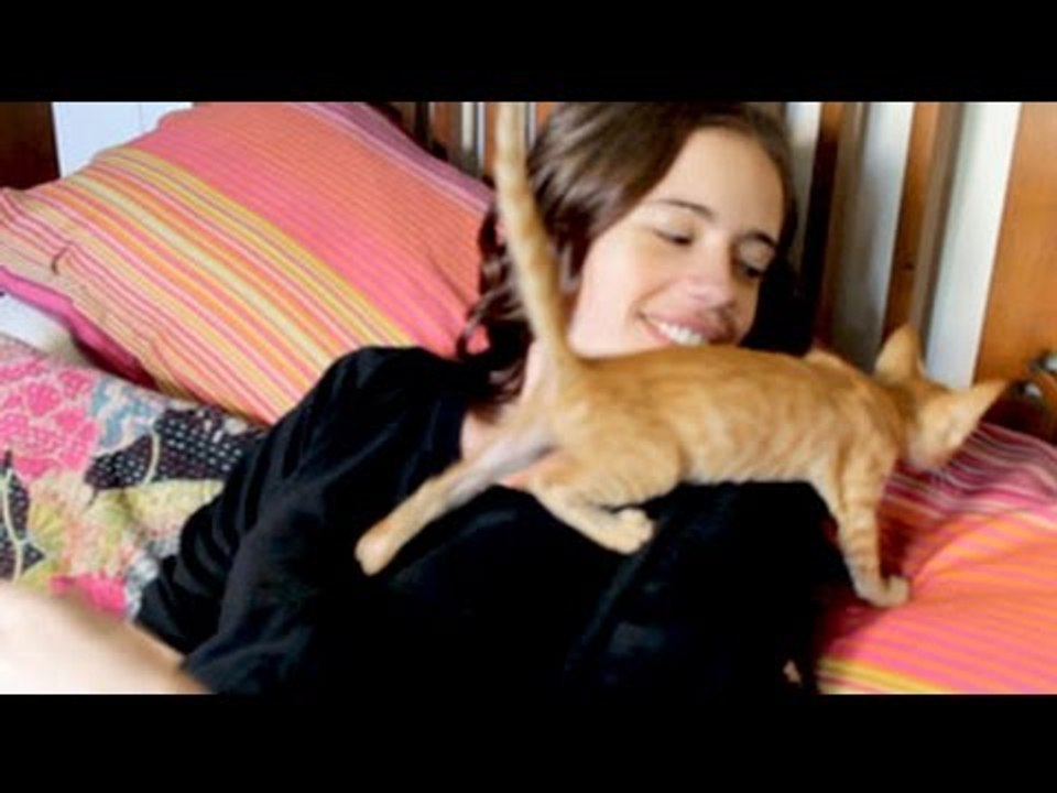 Heavy Petting: What Kalki Koechlin, Vivek Oberoi and Mandira Bedi miss the most about their pets
