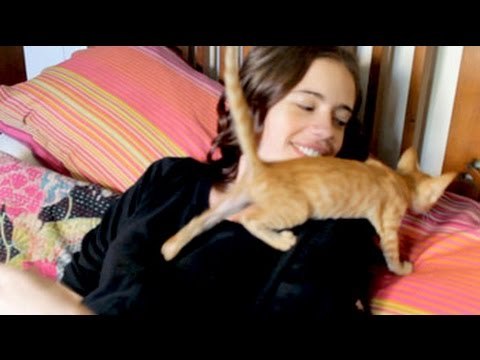 Heavy Petting: What Kalki Koechlin, Vivek Oberoi and Mandira Bedi miss the most about their pets