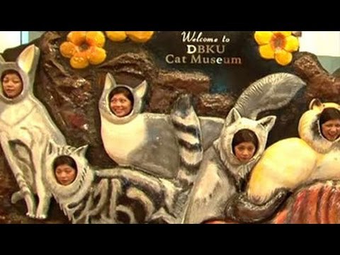 Quirky museums: Kitty Catty in Malaysia
