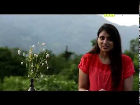 Band Baajaa Bride: Sofia Pathan weds Muneer Iqbal Khan