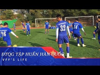 HUY HÙNG & ĐÌNH HOÀNG TRỞ LẠI TRONG TRẬN GẶP FC SEOUL