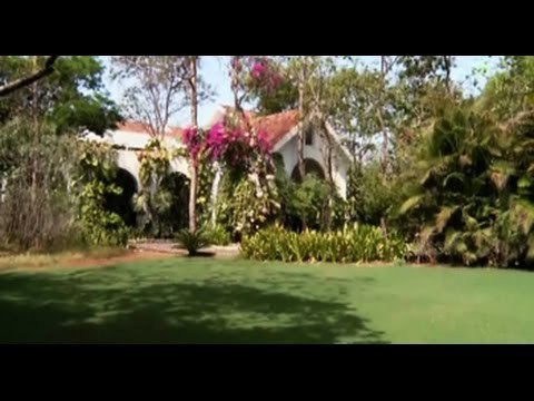 Luxe Interiors: Swaying palm trees, view of infinite skies