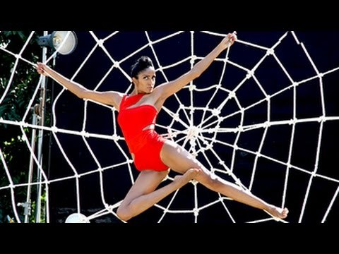 Kingfisher Supermodels find themselves stuck in a cobweb