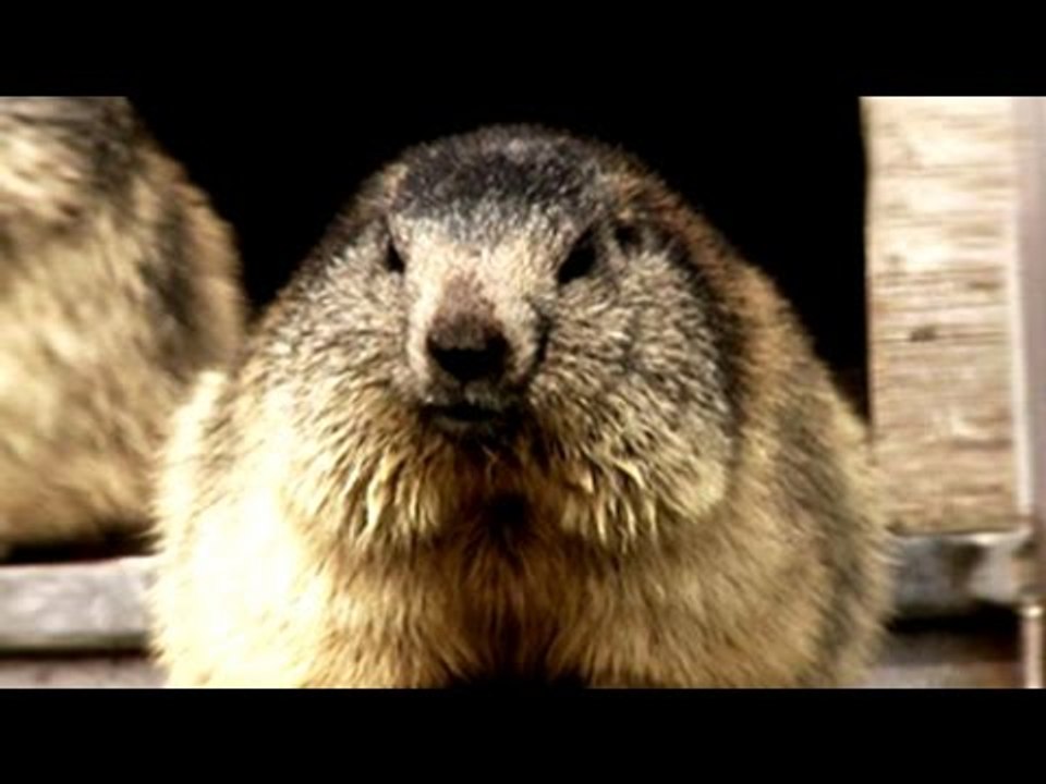 Beautiful hike in Rochers de Naye