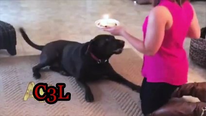 へ 생방송블랙잭 마닐라카지노에이전시≪ＭＳＴ272，coM≫테크노바카라사이트 회에 올라온 브라이