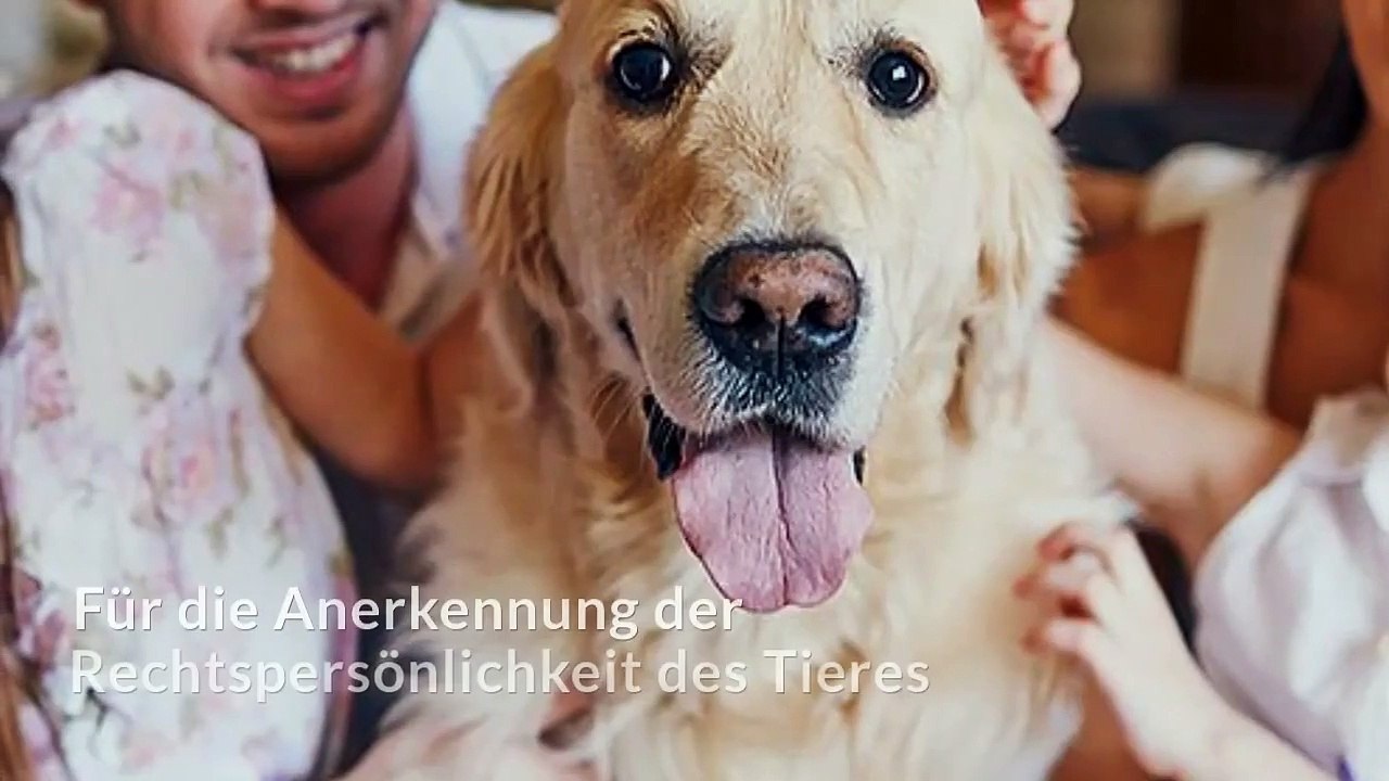 TIERVERSUCHE
