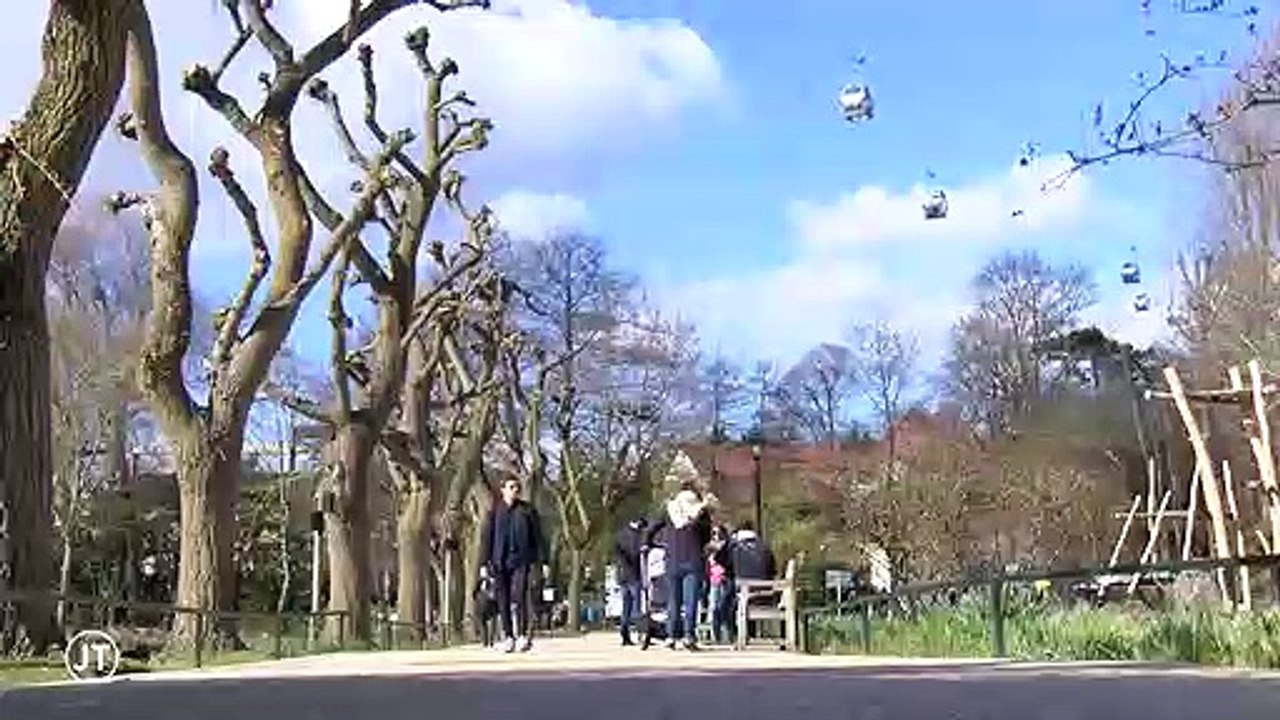 Beauval : une télécabine survole le zoo