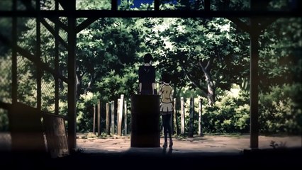 AMV - Accomplices