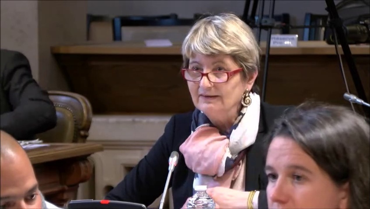 Christine RENAUDIN-JACQUES. Information sur les mineurs non-accompagnés. 25 mars 2019