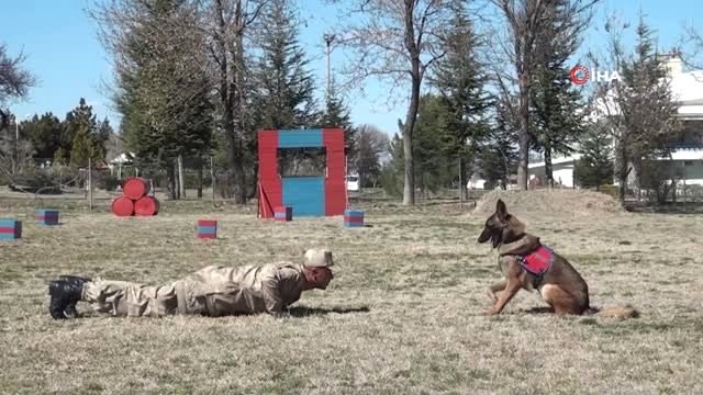 Jandarma Genel Komutanlığı 'Dost'a Güveniyor