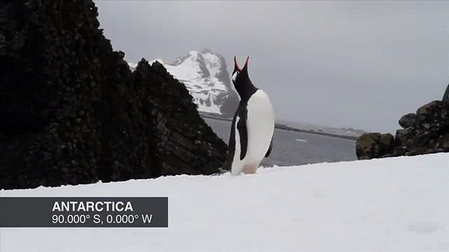 블랙잭게임つ☆け☆オ♠ヘ♡【ＴＴＳ３３２、coM】☏온라인바카라사이트