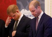 Prince William and Harry Are Reportedly Feuding