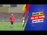 ĐTQG Việt Nam lùi ngày công bố danh sách, chốt lịch đấu tập tại Hàn Quốc | VFF Channel