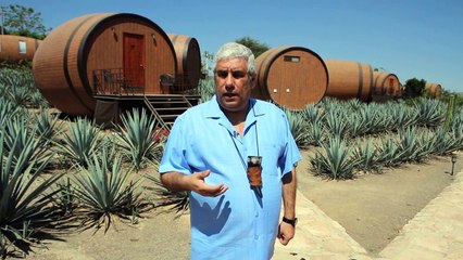 Hotel invita a dormir en barricas de tequila