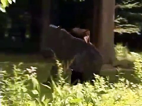 마카오카지노사이트≪ＳＴＫ４２４、CㅇM≫온라인온라인카지노 마카오카지노사이트≪ＳＴＫ４２４、CㅇM≫온라인온라인카지노