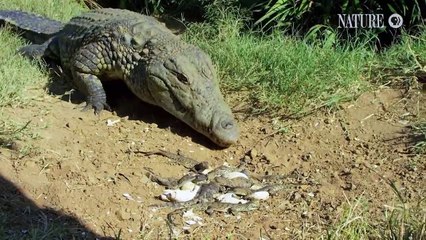 メ 카지노게임방법 온라인카지노게임≪ＭＳＴ272，coM≫바카라게임방법 상 코칭을 받아야