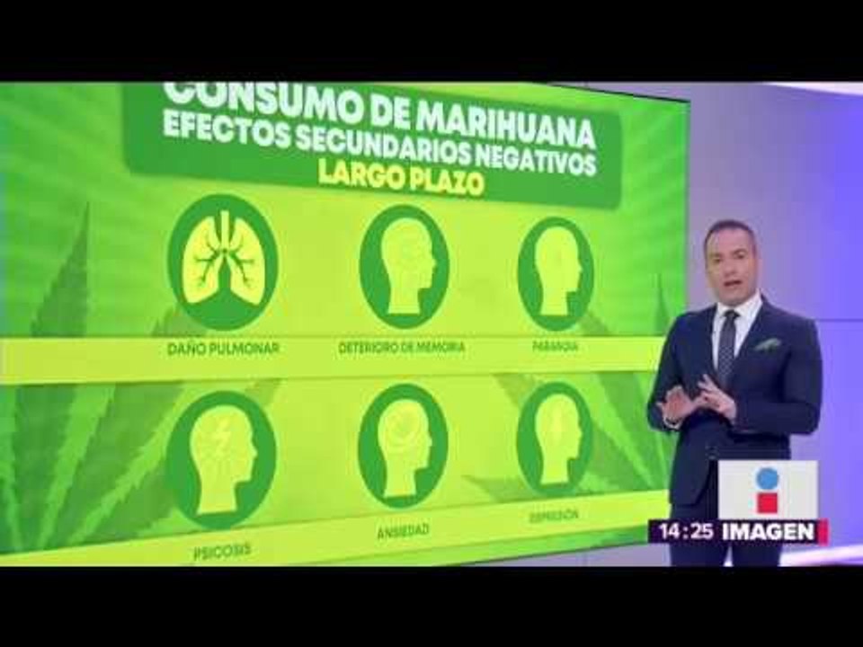 Lo que no sabías de la mariguana: No es adictiva ni causa alucinaciones | Noticias con Yuriria