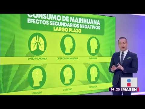 Lo que no sabías de la mariguana: No es adictiva ni causa alucinaciones | Noticias con Yuriria