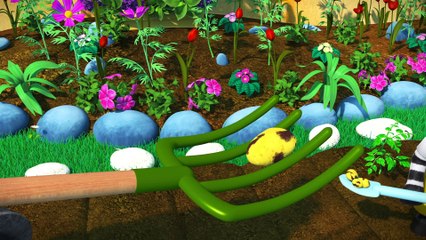 Zou - Zou and the Caterpillar - eps 30