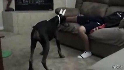 엠카지노ソ♨み▼ん◇ム☏【ＴＴＳ３３２、coM】☜코리아카지노