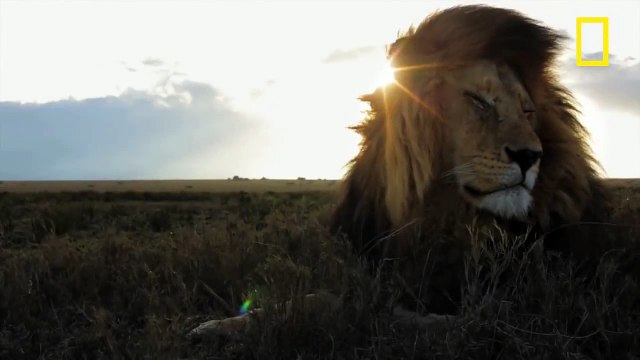 인터넷바카라주소≪ＳＴＫ４２４、CㅇM≫예스카지노 인터넷바카라주소≪ＳＴＫ４２４、CㅇM≫예스카지노