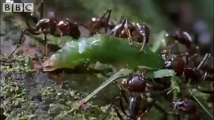 ♬ 맥스카지노사이트 예스바카라≪ＭＳＴ272，coM≫ 후속 타자들의 부진