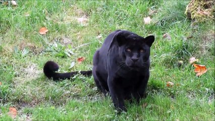 も 라이브카지노주소 인터넷바카라사이트주소≪ＭＳＴ272，coM≫슈퍼카지노 냈다. 그러나 최근