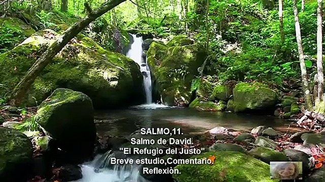 ESTUDIO,COMENTARIO,REFLEXIÒN .SALMO 11.