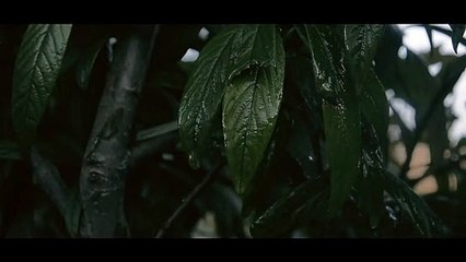 ▦ 실시간카지노사이트 호텔카지노영상≪ＭＳＴ272，coM≫ 마인츠는