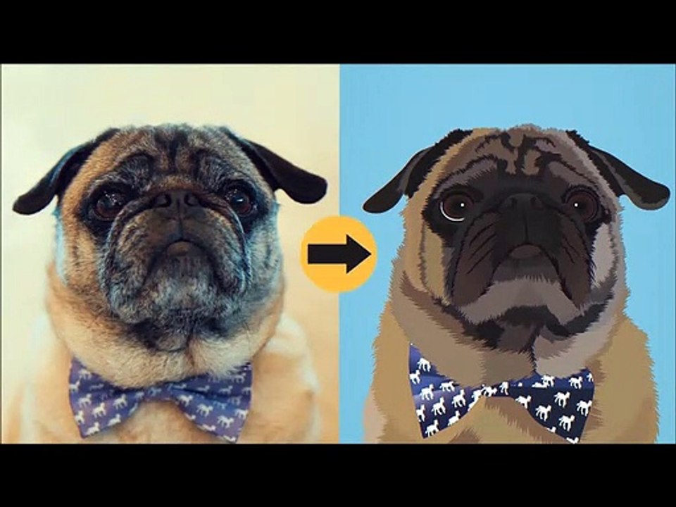 Print Your Pet Review by Satisfied Customers