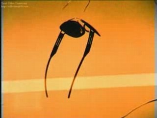 ic berlin lunettes eyewear