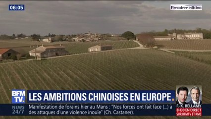 Domaines viticoles, secteur médical... Les Chinois investissent massivement en Europe