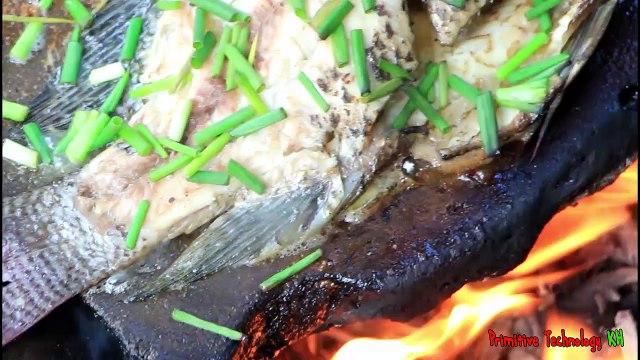 La Technologie Primitive - Manger de délicieux la Cuisson d'un poisson sur un rocher dans la forêt
