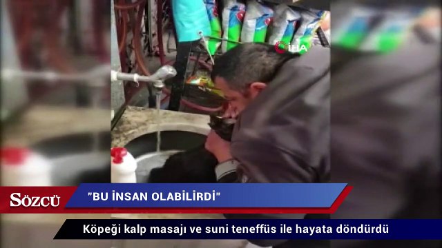 Köpeği kalp masajı ve suni teneffüs ile hayata döndürdü