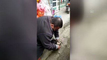 Köpeği masaj ve suni solunumla hayata döndürdü - RİZE