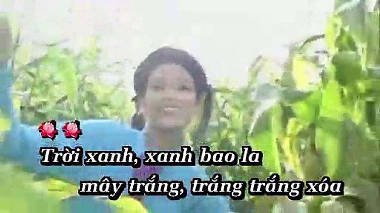 BucHoaDongQue-TamCa3A-kok