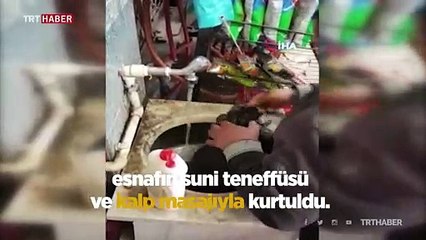 Köpeği masaj ve suni solunumla hayata döndürdü