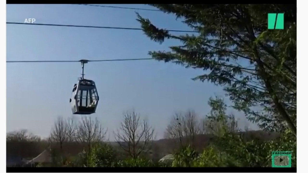 Zoo de Beauval : visiter le parc en télécabine
