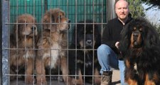 Yetiştirdiği Köpekler 150 Bin Liraya Kadar Alıcı Buluyor