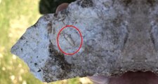Jeofizik Mühendisi Cudi Dağı'nda Gezerken 12 Milyon Yıllık Fosil Buldu