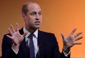 Erstaunliche Dinge, die du über Prince William wissen musst