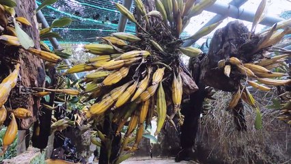 Exploring Ba Na Hills in Da Nang, Vietnam