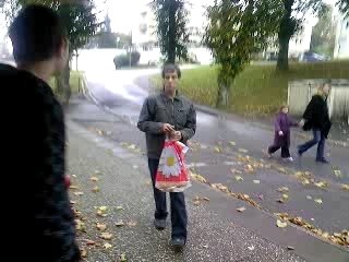 regis fou